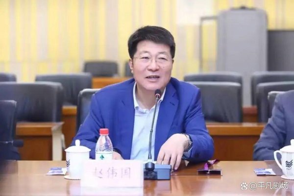 股票配资资质 中国芯片发展的历史罪人：赵伟国